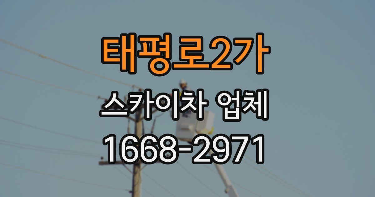 태평로2가 스카이차 업체