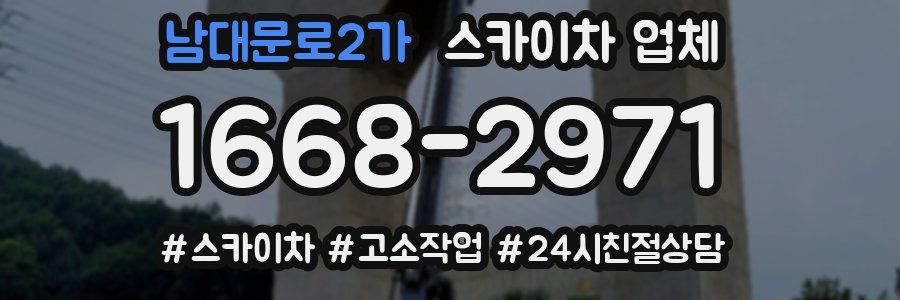 남대문로2가 스카이차 업체