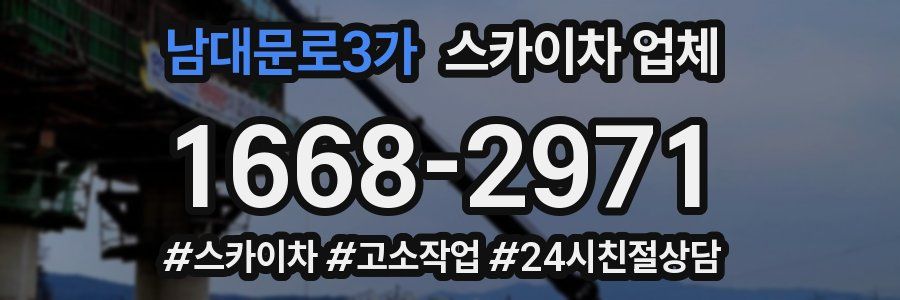 남대문로3가 스카이차 업체