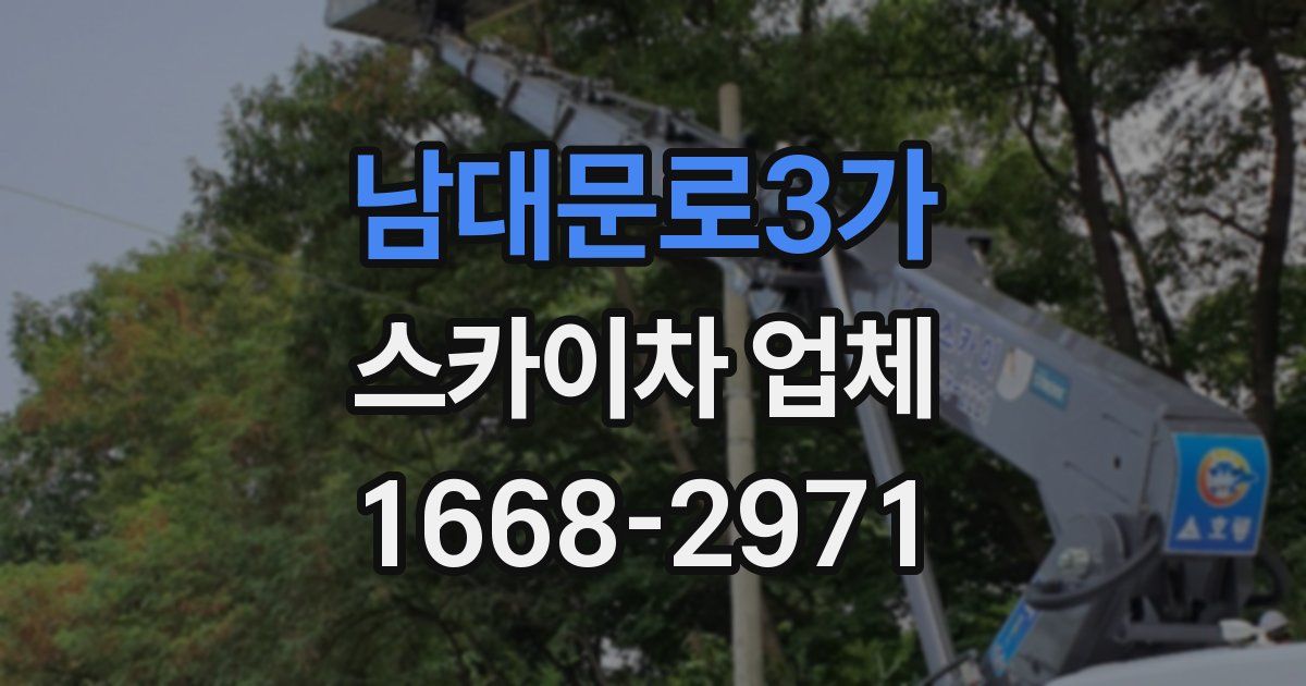 남대문로3가 스카이차 업체