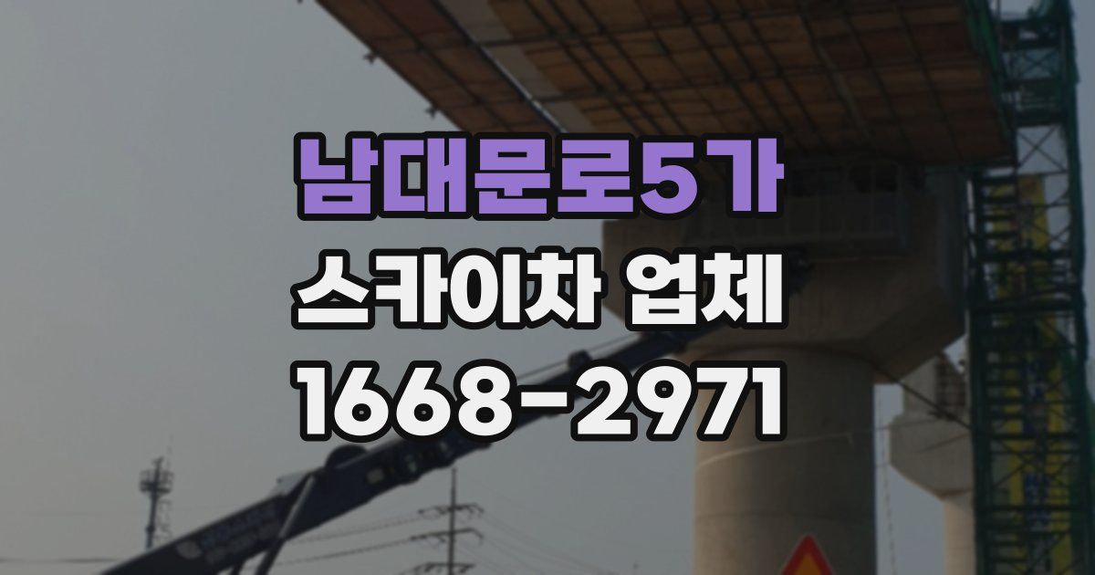 남대문로5가 스카이차 업체