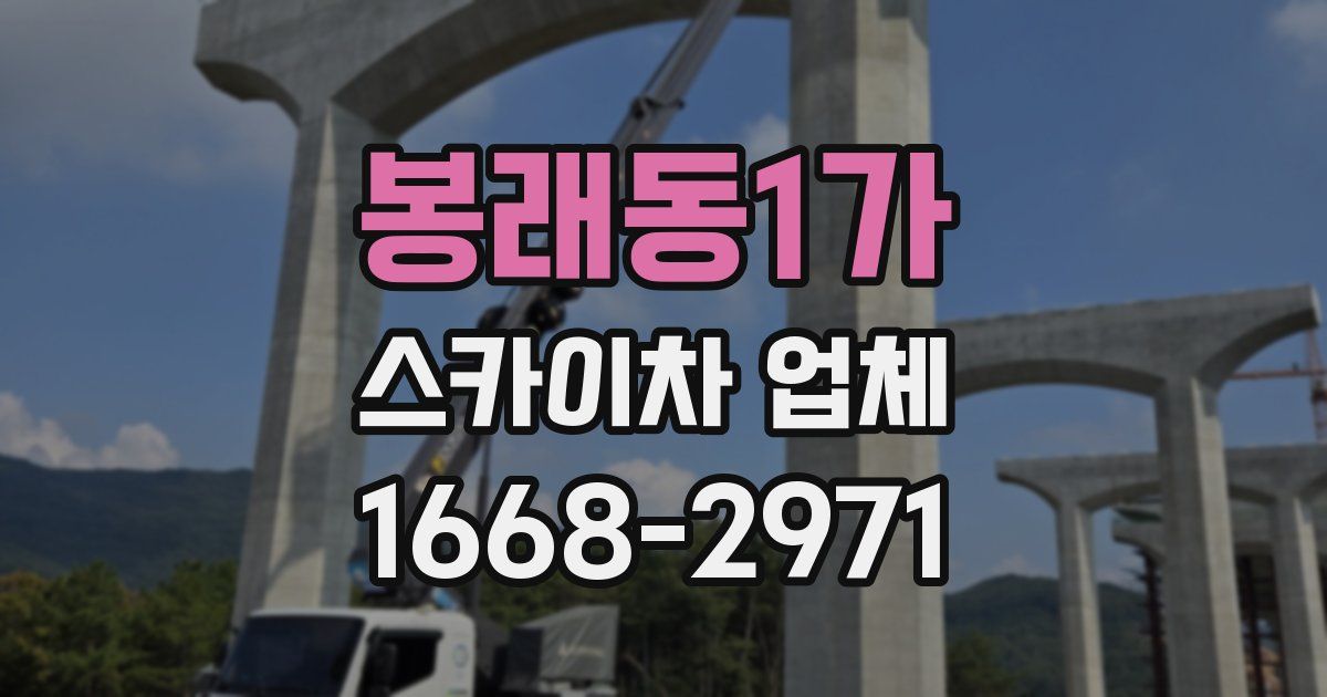봉래동1가 스카이차 업체