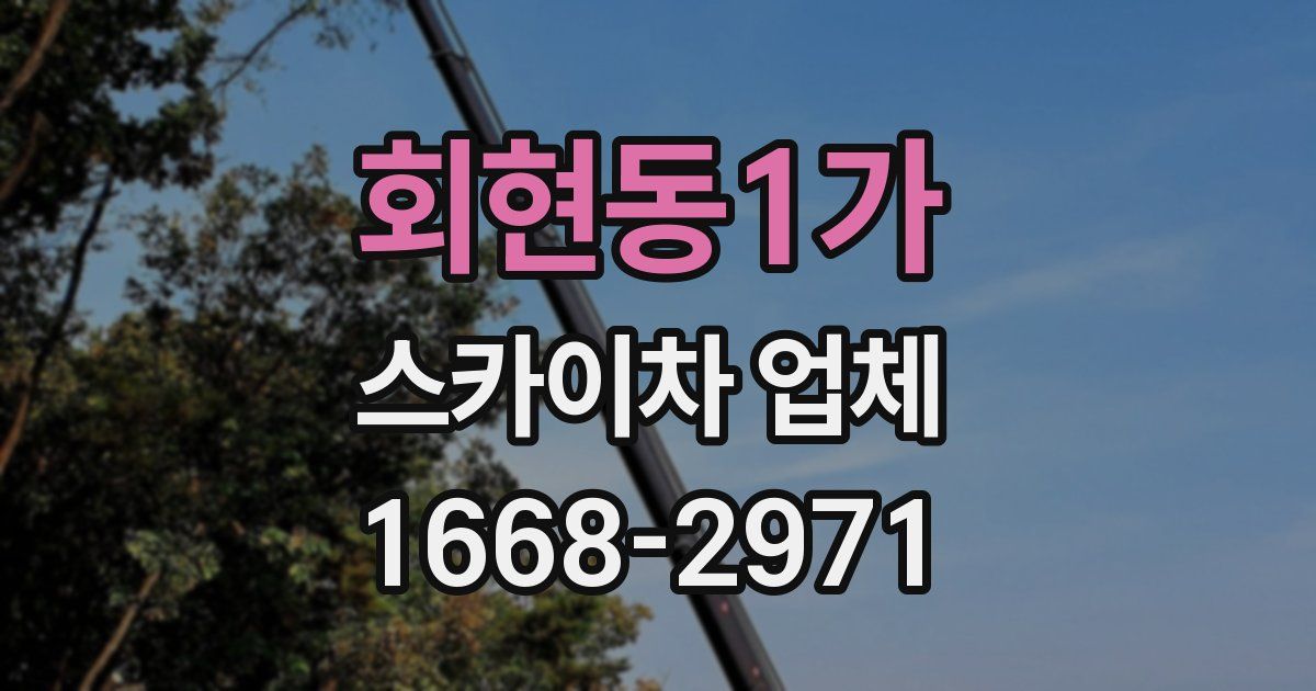 회현동1가 스카이차 업체