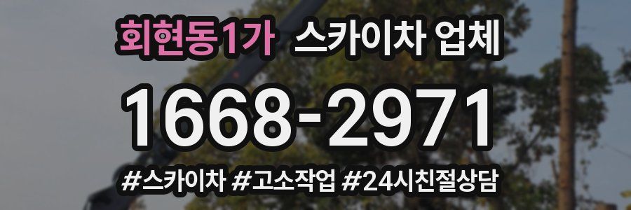 회현동1가 스카이차 업체