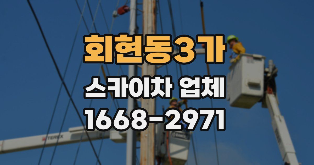 회현동3가 스카이차 업체