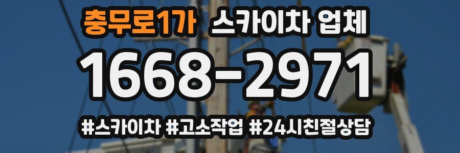 충무로1가 스카이차 업체