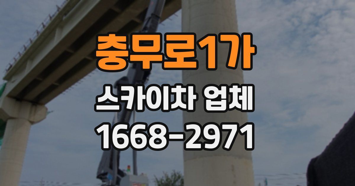 충무로1가 스카이차 업체