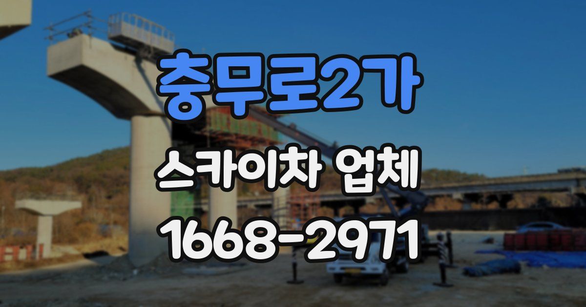 충무로2가 스카이차 업체