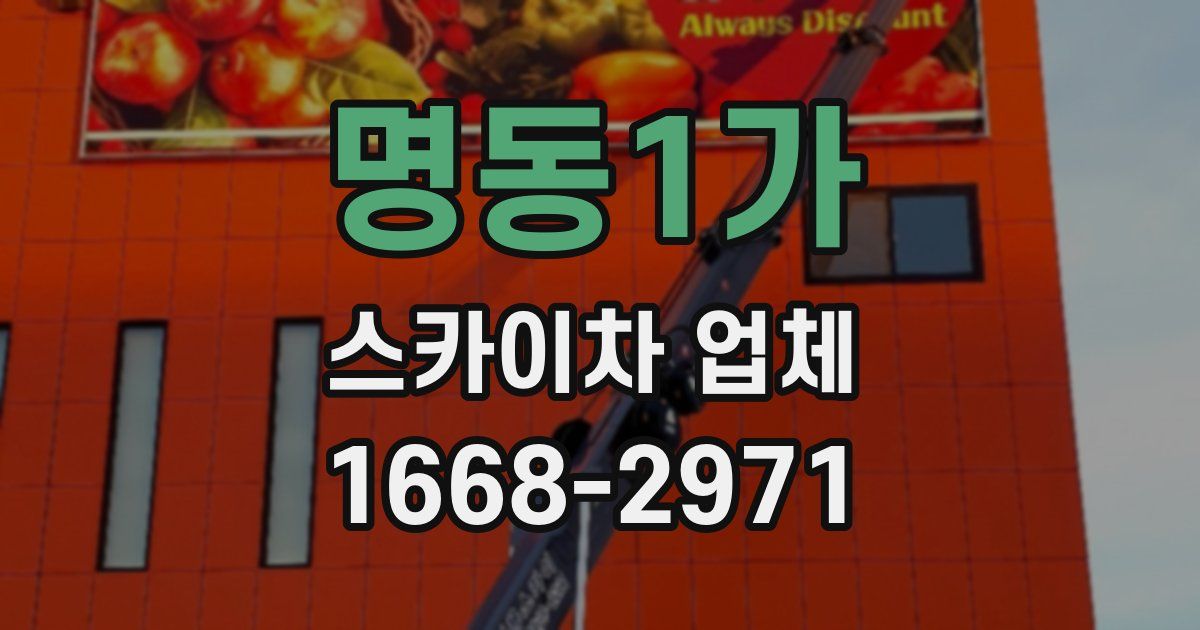 명동1가 스카이차 업체