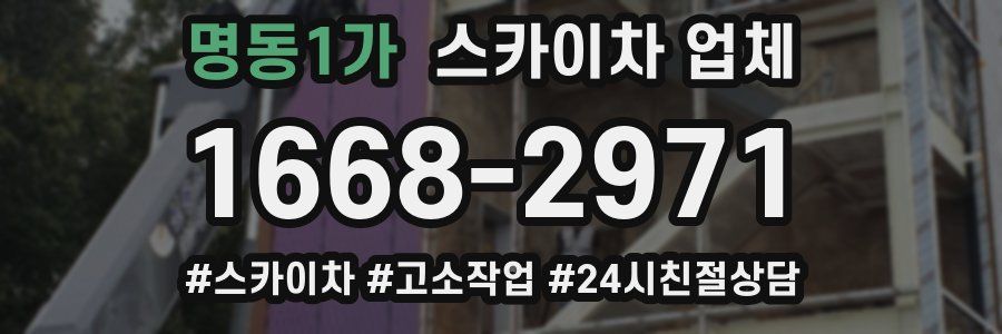 명동1가 스카이차 업체