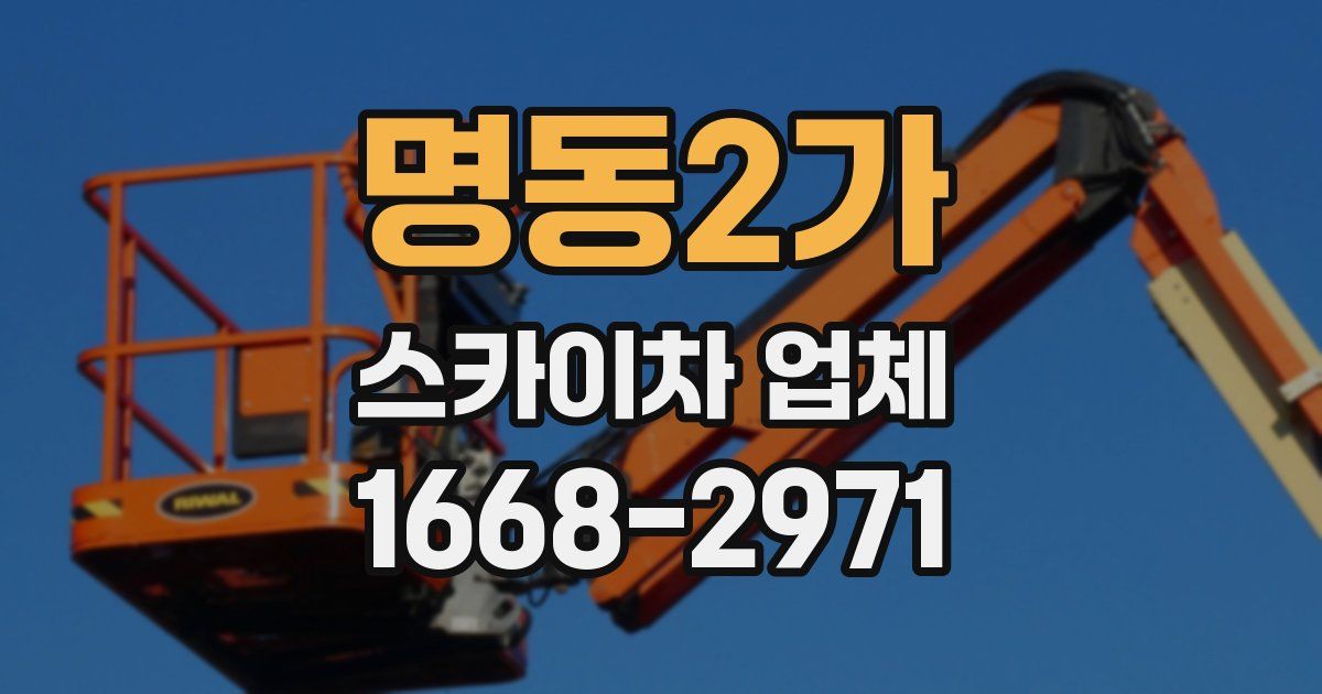 명동2가 스카이차 업체