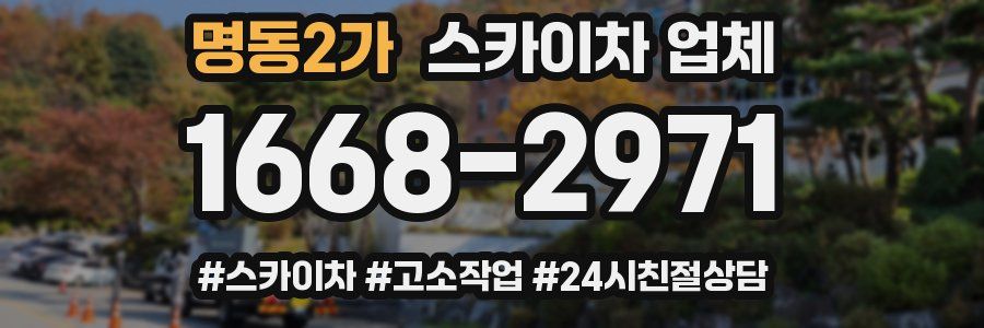 명동2가 스카이차 업체