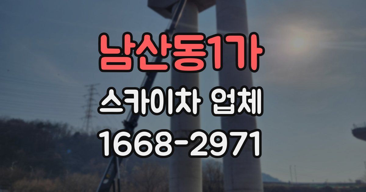 남산동1가 스카이차 업체