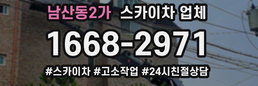 남산동2가 스카이차 업체