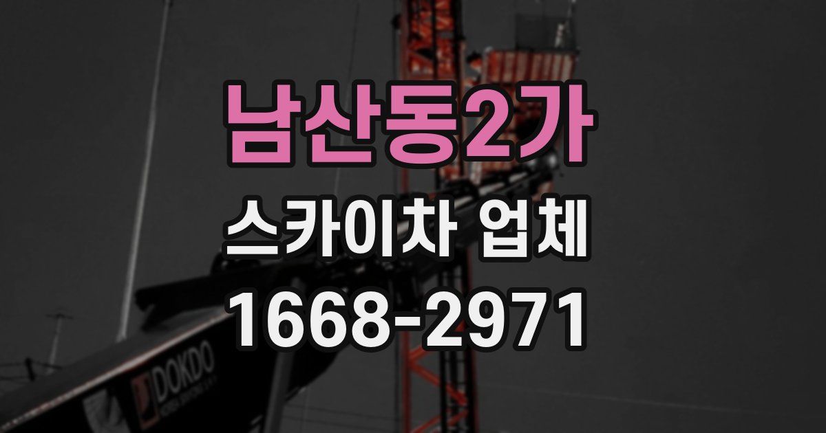 남산동2가 스카이차 업체