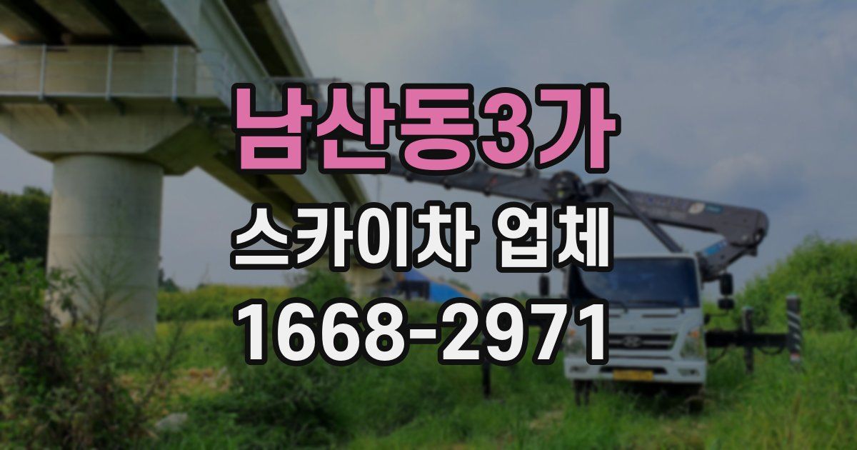 남산동3가 스카이차 업체