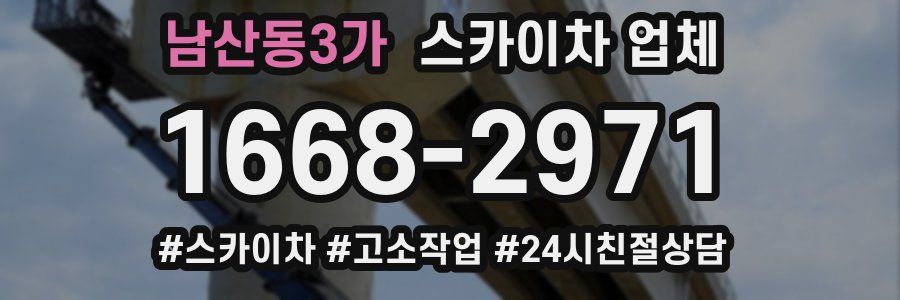 남산동3가 스카이차 업체