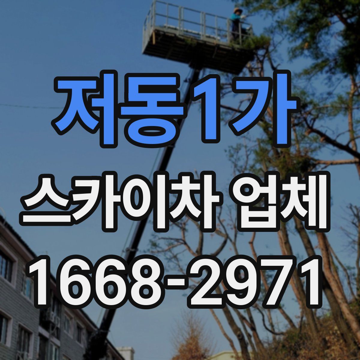 저동1가 스카이차 업체