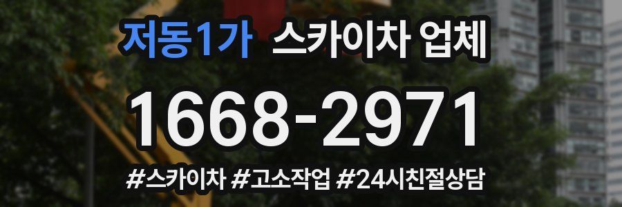 저동1가 스카이차 업체