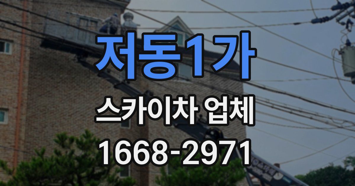 저동1가 스카이차 업체