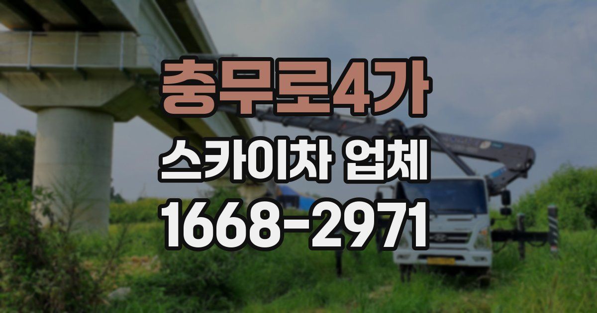 충무로4가 스카이차 업체