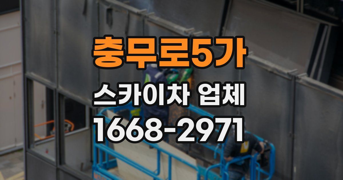 충무로5가 스카이차 업체