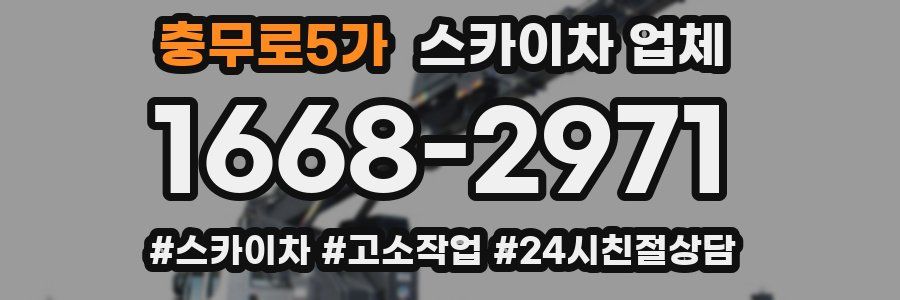 충무로5가 스카이차 업체
