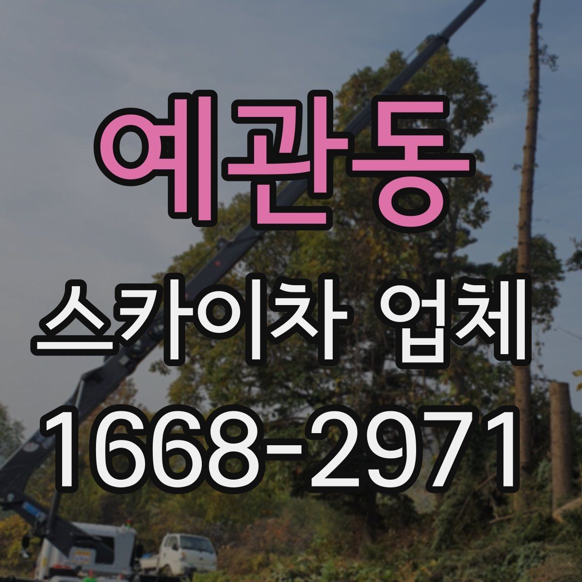 예관동 스카이차 업체 이용 시 비용이 달라지는 기준