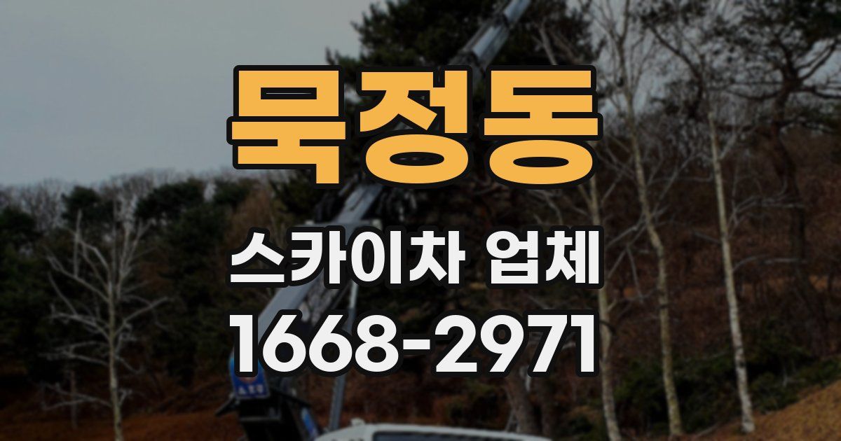 묵정동 스카이차 업체