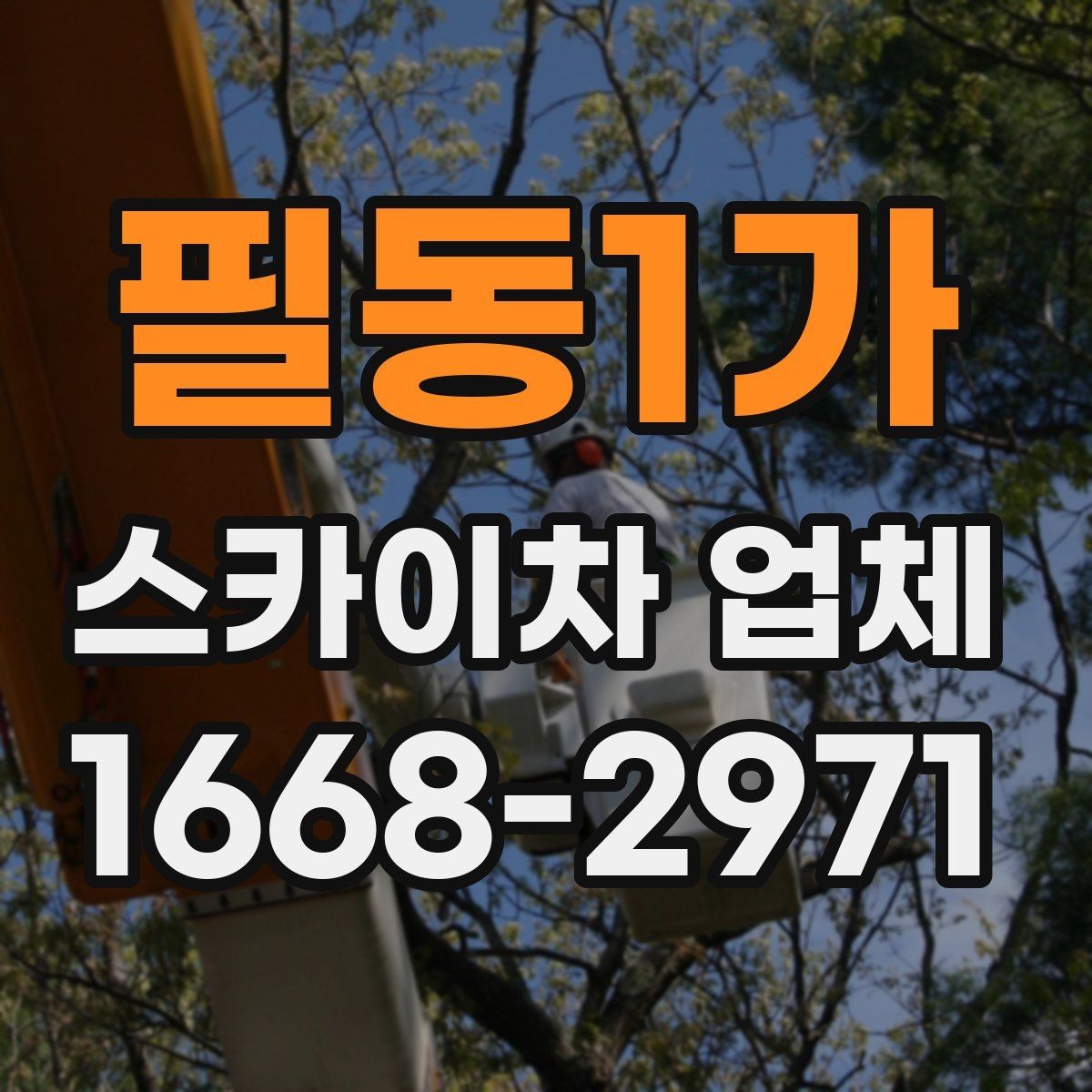 필동1가 스카이차 업체 이용을 계획할 때 참고할 사항