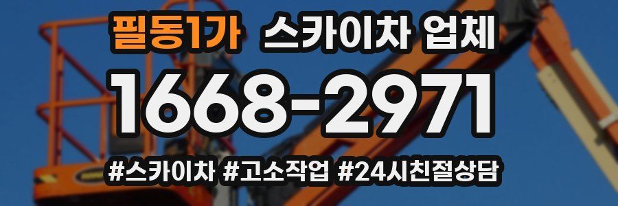필동1가 스카이차 업체