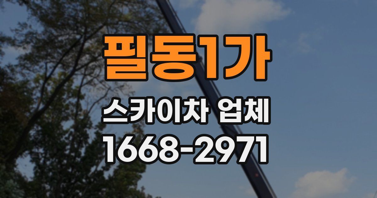 필동1가 스카이차 업체
