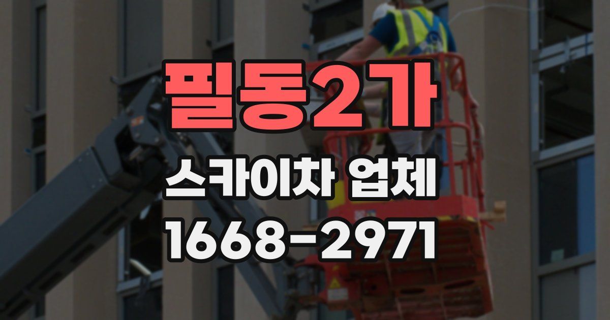 필동2가 스카이차 업체