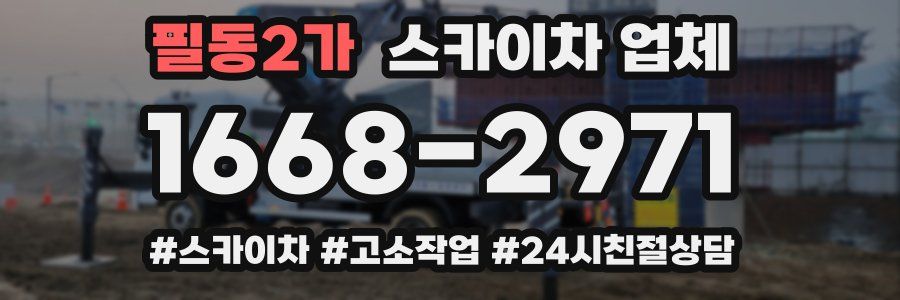 필동2가 스카이차 업체