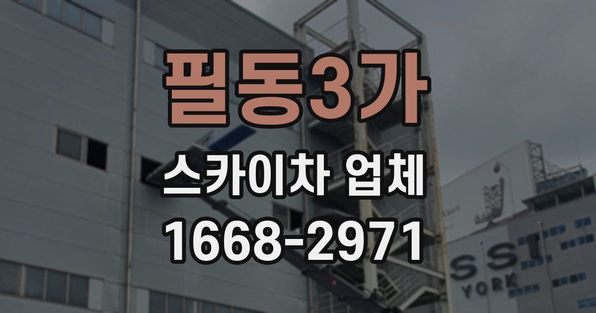 필동3가 스카이차 업체