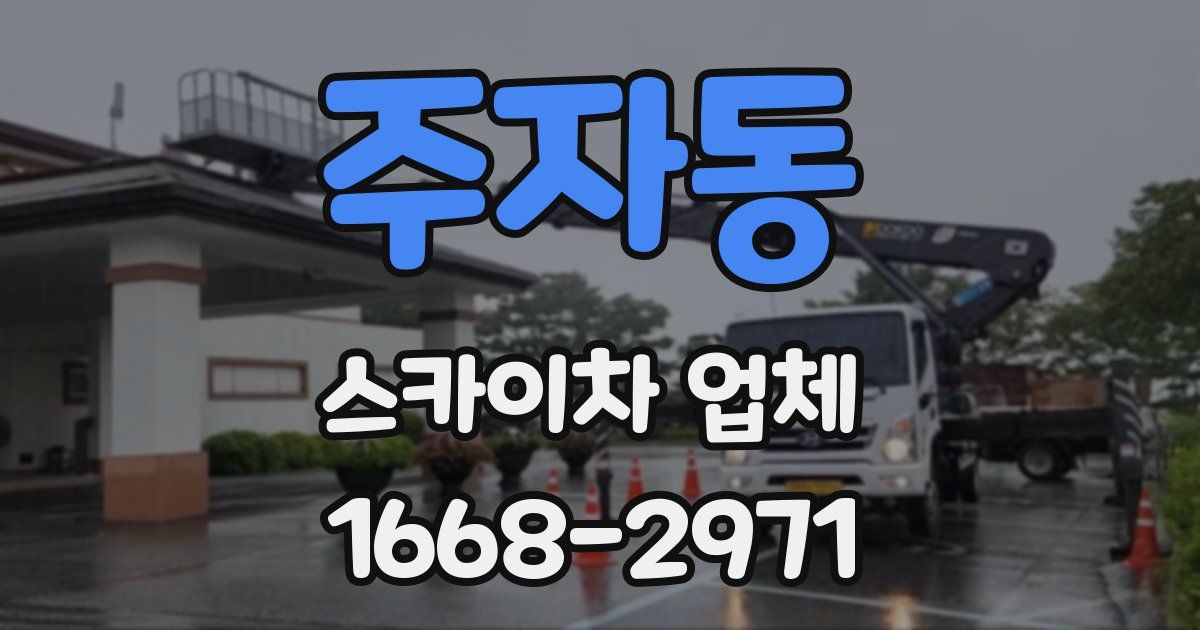 주자동 스카이차 업체