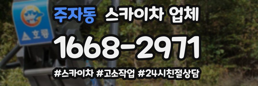 주자동 스카이차 업체