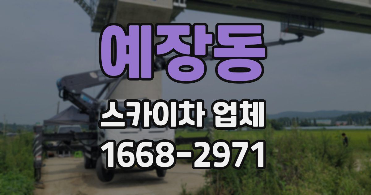 예장동 스카이차 업체
