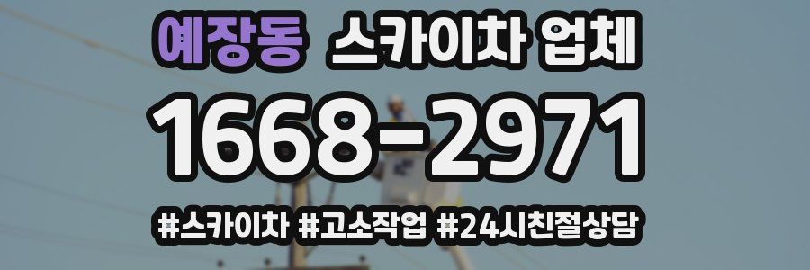 예장동 스카이차 업체