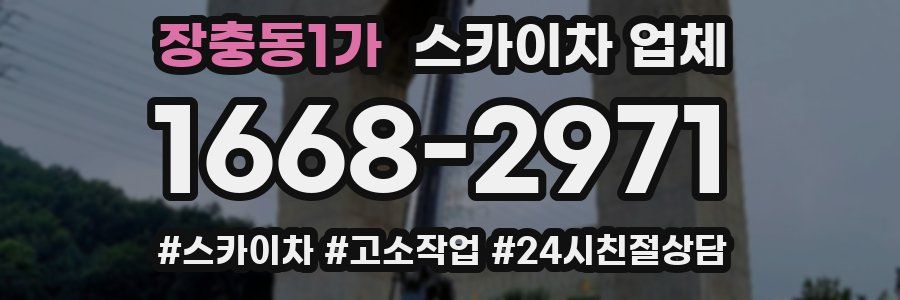 장충동1가 스카이차 업체