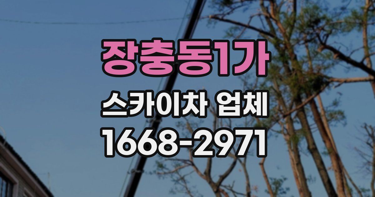 장충동1가 스카이차 업체
