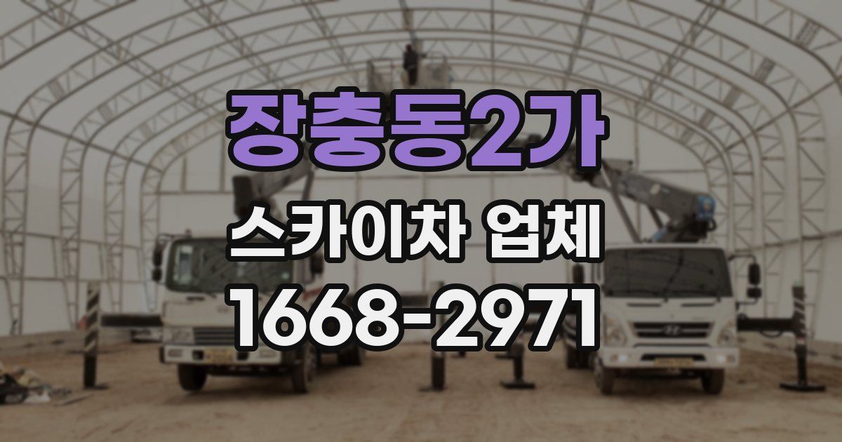 장충동2가 스카이차 업체