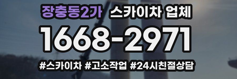 장충동2가 스카이차 업체