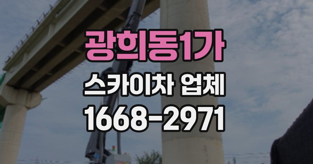 광희동1가 스카이차 업체