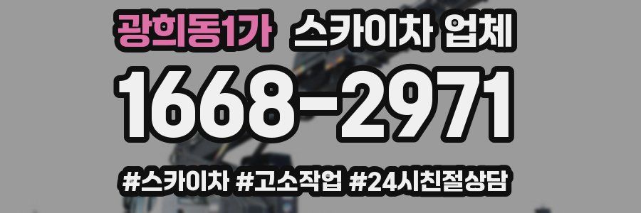 광희동1가 스카이차 업체