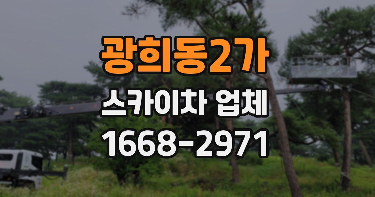 광희동2가 스카이차 업체