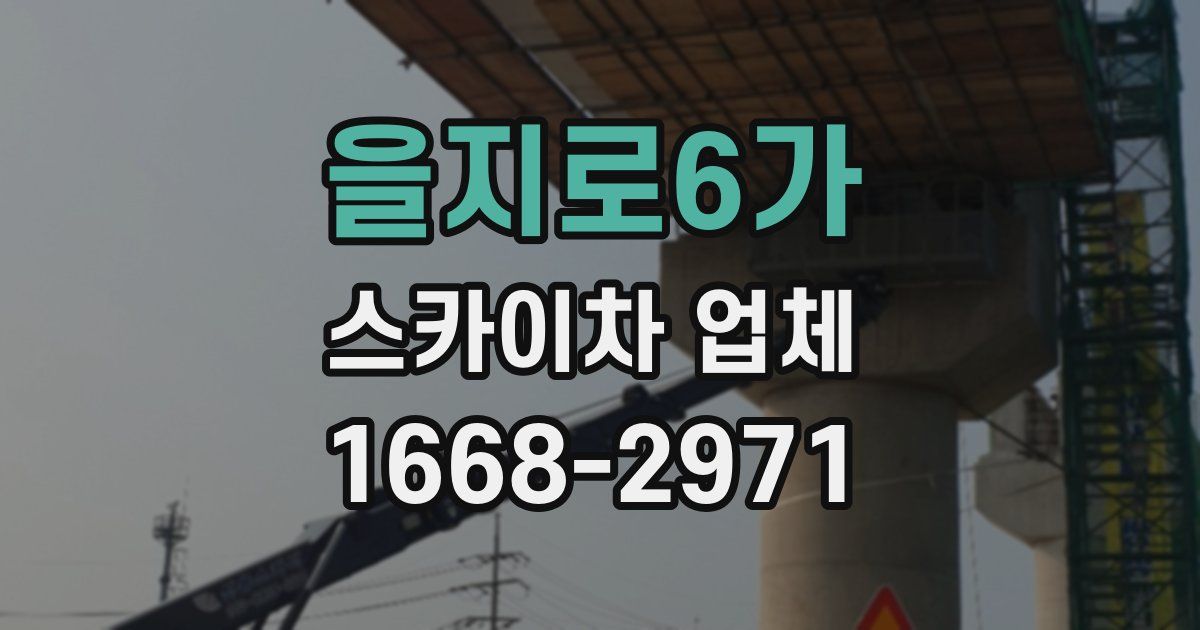 을지로6가 스카이차 업체