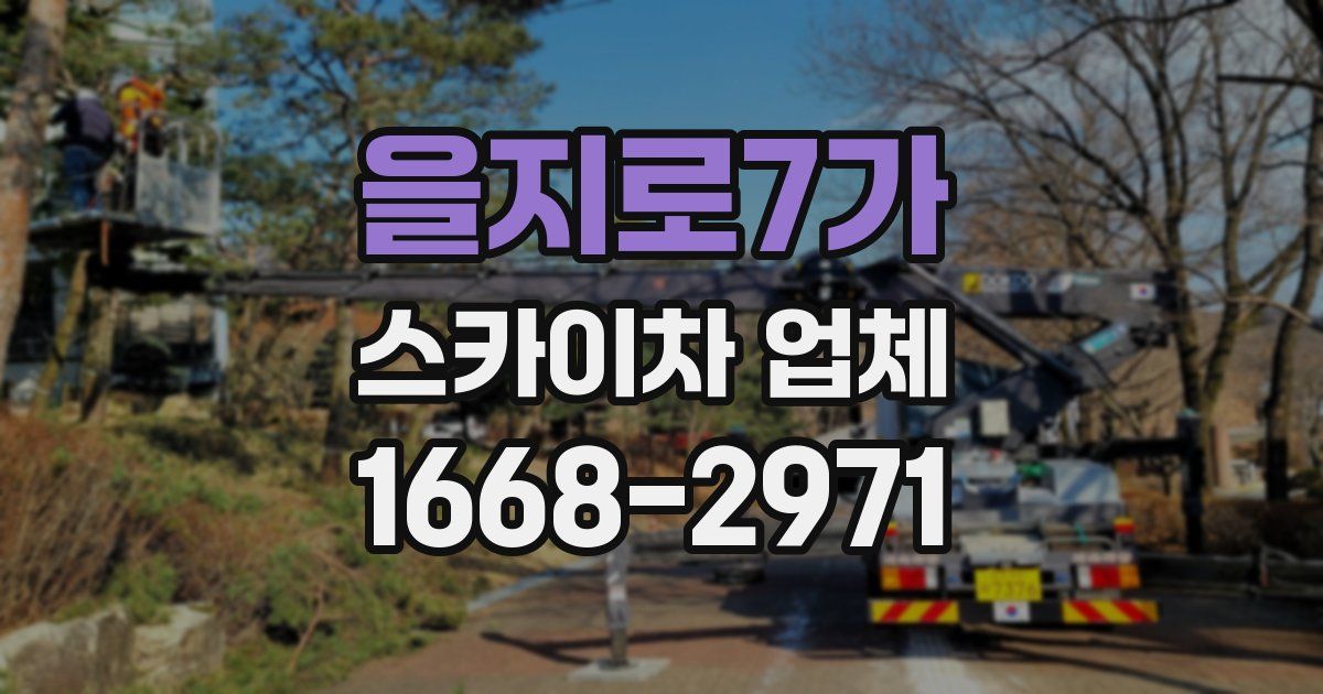 을지로7가 스카이차 업체