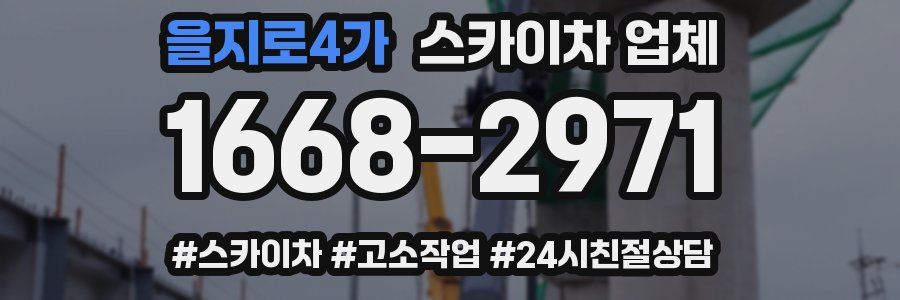 을지로4가 스카이차 업체