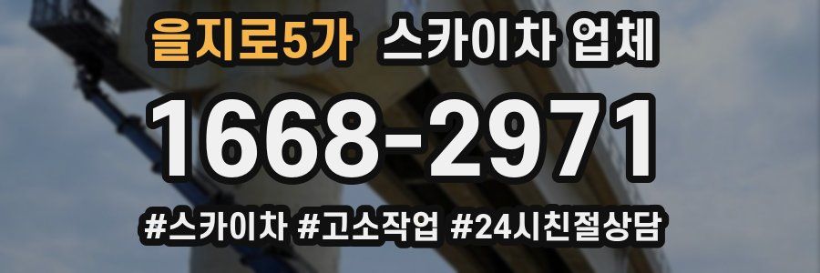 을지로5가 스카이차 업체